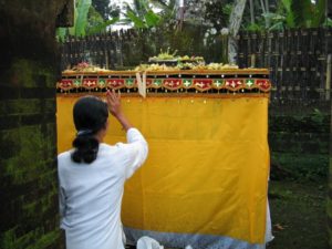 《伝統＆スピリチュアル体験》バリ島　バグースジャティ　バリ衣装でお祈り＆滝で浄化＆アーユルベーダも　４泊６日　