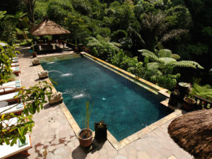 《アンチエイジング＆デトックス》　ヘルシーリゾート　バグースジャティ　アーユルベーダ＆ヨガ＆食事付　４泊６日　