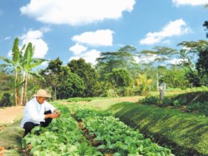 《アンチエイジング＆デトックス》　ヘルシーリゾート　バグースジャティ　アーユルベーダ＆ヨガ＆食事付　４泊６日　