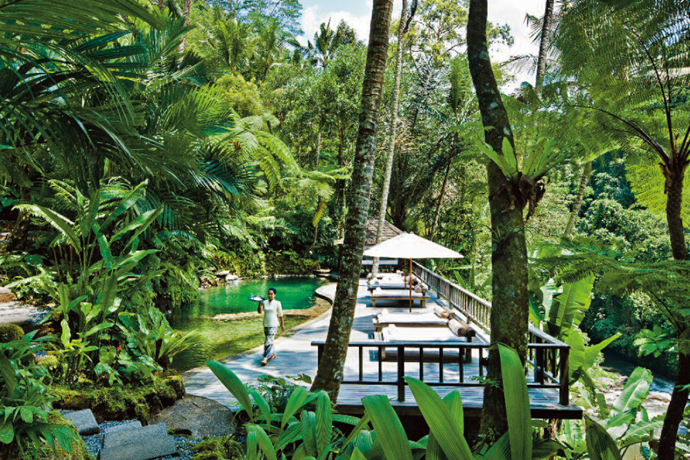 como shanbhala img03