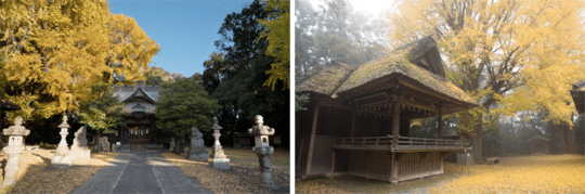 2023年9月9日「かぞ平和音楽祭」鑑賞ツアー 6 1688369159478345 1