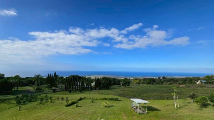 08119B29 3397 4522 8DC3 F6F4EF813499