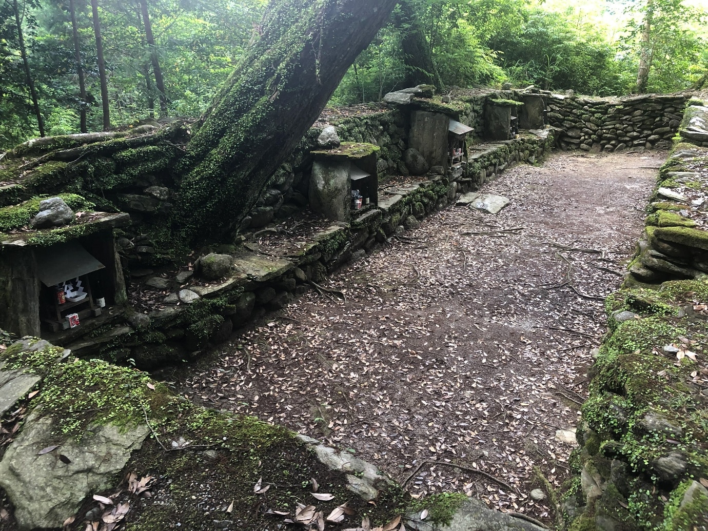 【神秘の徳島】剣山大祭とソロモン伝説を追う 3日間 4 image007 2